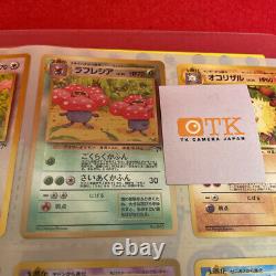 Pokemon card Southern Islands Tropical Island Binder & All 9 Card Set Complete