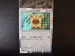 Poncho Wearing Eevee 137-144/SM-P ALL 8 set Pokemon Card Japanese Unopened
