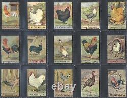 Spratts-full Set- Poultry Series (k100 Cards) All Scanned